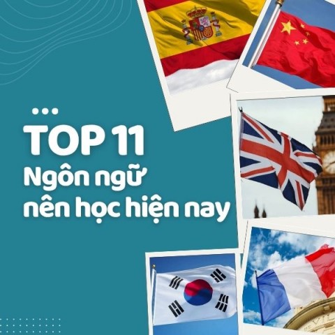 TOP 11 Những Ngôn Ngữ Nên Học | Ngôn Ngữ Dễ Học 2026